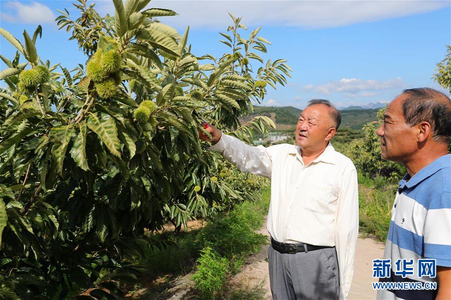 （新華全媒頭條·走向我們的小康生活·圖文互動）（11）長城腳下，小康村串成“珍珠鏈”
