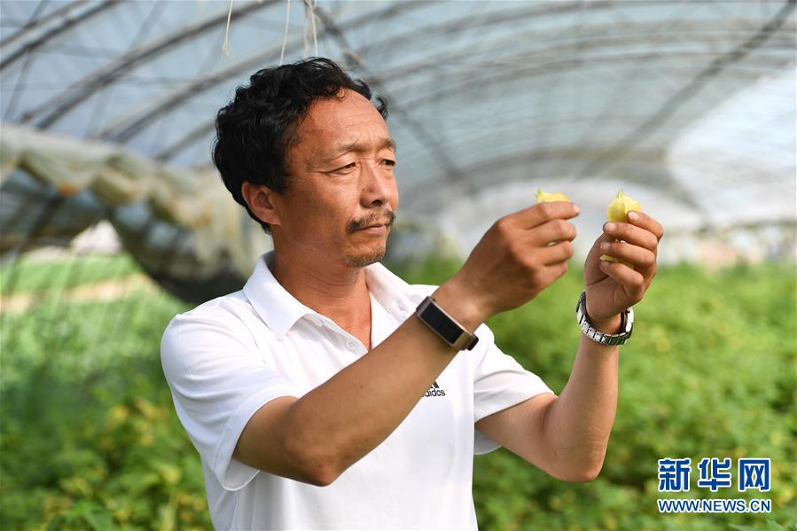 （新華全媒頭條·走向我們的小康生活·圖文互動）（7）黑土地上是我家——在吉林，一瞥中國東北鄉(xiāng)村美麗未來
