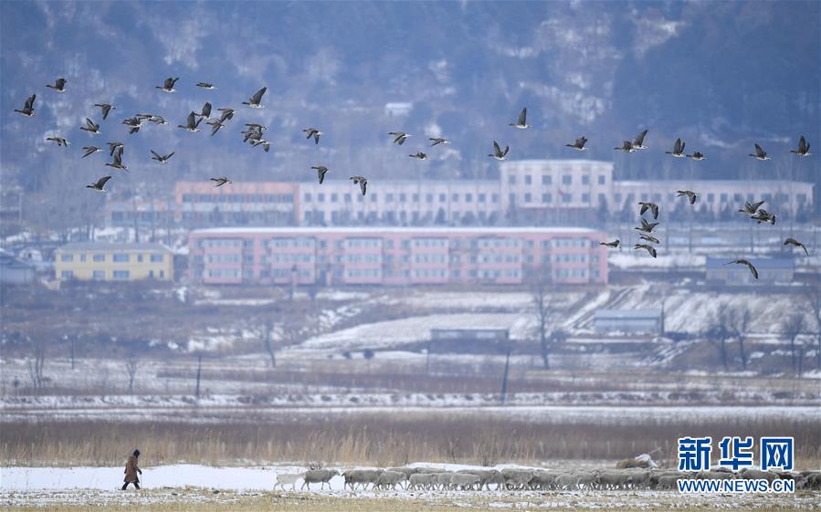 （新華全媒頭條·走向我們的小康生活·圖文互動）（14）黑土地上是我家——在吉林，一瞥中國東北鄉(xiāng)村美麗未來