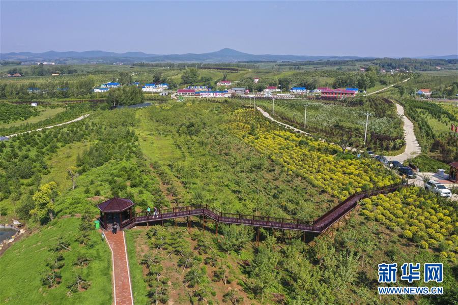 （新華全媒頭條·走向我們的小康生活·圖文互動）（16）黑土地上是我家——在吉林，一瞥中國東北鄉(xiāng)村美麗未來