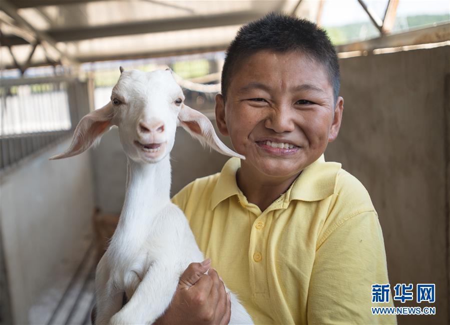 （新華全媒頭條·走向我們的小康生活·圖文互動）（5）特殊之年，荊楚大地書寫不平凡的答卷