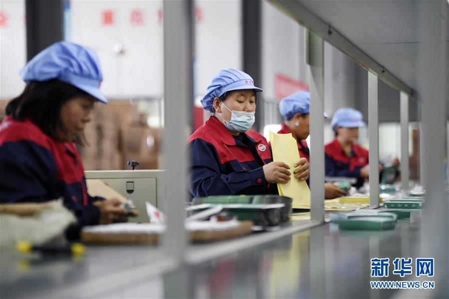 （在習近平新時代中國特色社會主義思想指引下——新時代新作為新篇章·習近平總書記關切事·圖文互動）（1）“綠色銀行”發(fā)工資、“股東”分紅來敲門……——探索長效脫貧致富新機制見聞