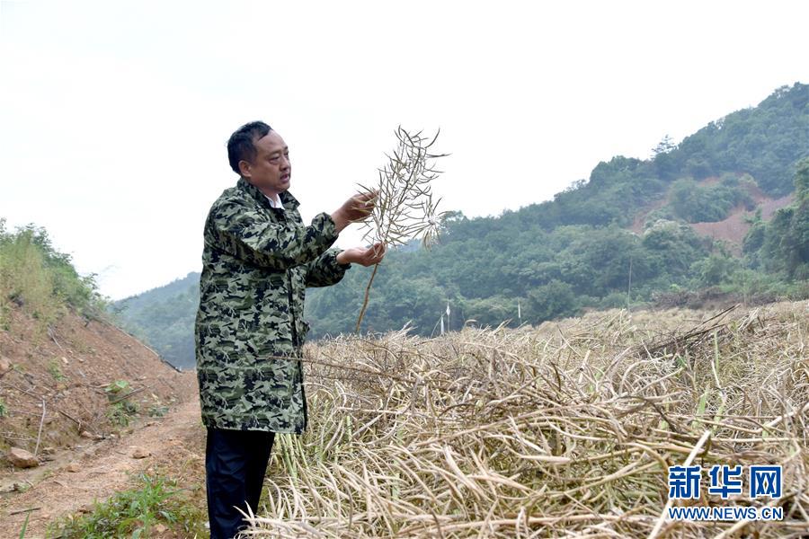 （代表委員履職·圖文互動）（1）“我是農(nóng)民代表，始終關(guān)注農(nóng)村”——全國人大代表沈昌健的履職故事