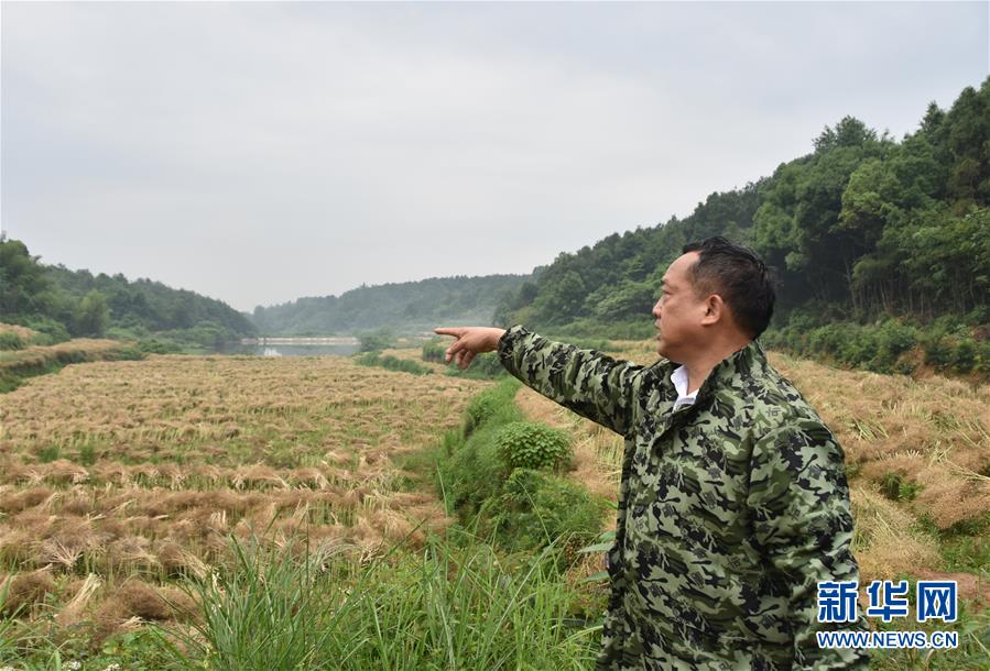 （代表委員履職·圖文互動）（2）“我是農(nóng)民代表，始終關(guān)注農(nóng)村”——全國人大代表沈昌健的履職故事