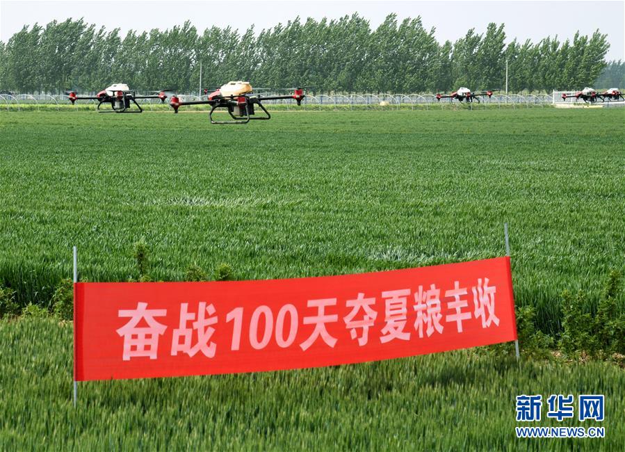 （在習(xí)近平新時(shí)代中國(guó)特色社會(huì)主義思想指引下——新時(shí)代新作為新篇章·習(xí)近平總書(shū)記關(guān)切事·圖文互動(dòng)）（9）新農(nóng)事、新希望——夏收前田間新動(dòng)態(tài)掃描