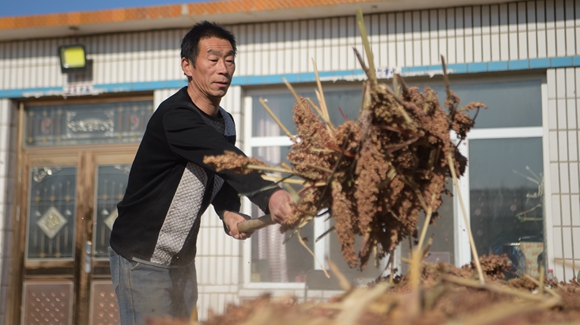 內蒙古奈曼旗互利村闖出產業(yè)致富之路