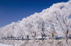 全國(guó)初雪時(shí)間表出爐 看看你離初雪還有多遠(yuǎn)？
