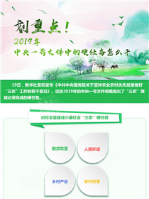 劃重點(diǎn)！2019年中央一號(hào)文件中的硬任務(wù)怎么干