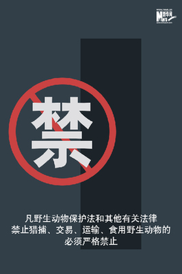 向非法野生動(dòng)物交易、濫食野生動(dòng)物陋習(xí)亮劍