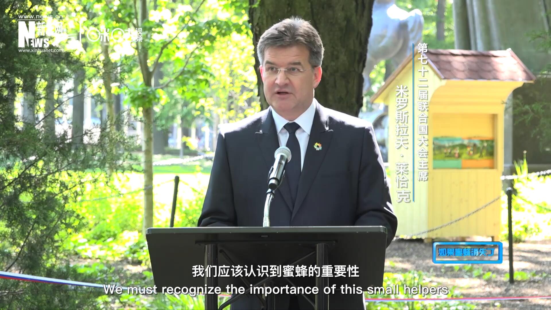 我們應(yīng)該認(rèn)識(shí)到蜜蜂的重要性，所以我們用“世界蜜蜂日”提高大家保護(hù)蜜蜂的意識(shí)，并且用實(shí)際行動(dòng)去保護(hù)蜜蜂