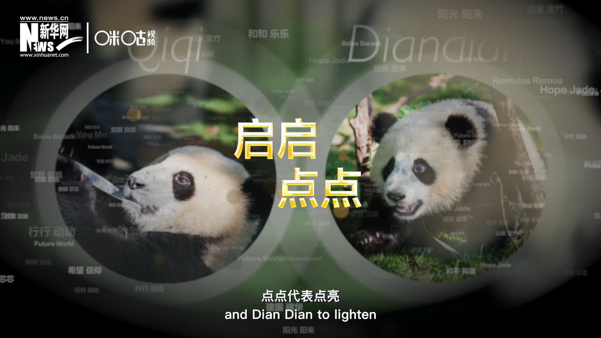 啟啟代表“啟發(fā)”，點(diǎn)點(diǎn)代表“點(diǎn)亮”，象征著2030年可持續(xù)發(fā)展議程 的“起點(diǎn)”，也象征著全球可持續(xù)發(fā)展路徑的新起點(diǎn)。