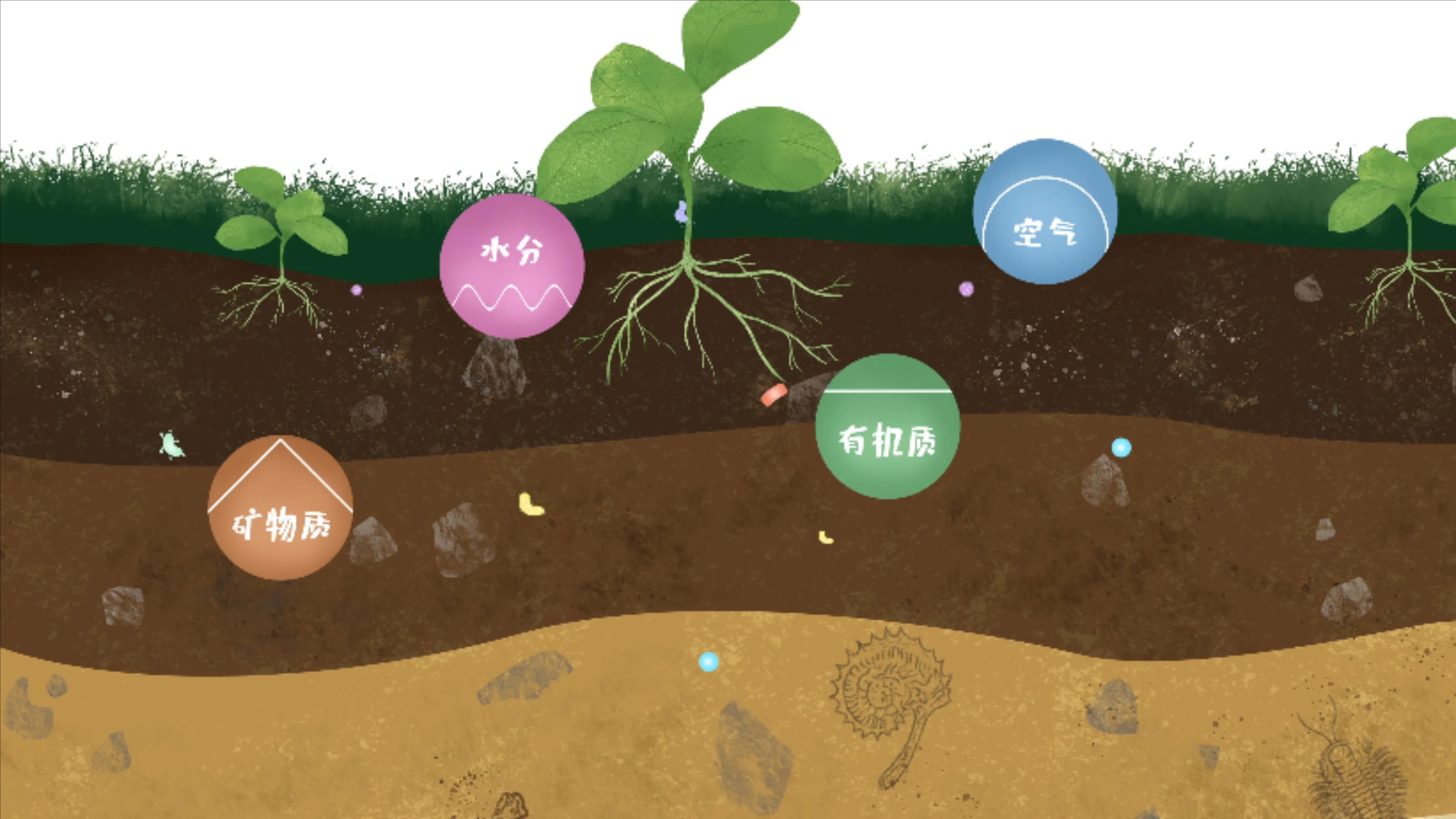 土壤由礦物質(zhì)、有機(jī)質(zhì)、水分、空氣及包括微生物在內(nèi)的生物體等組成