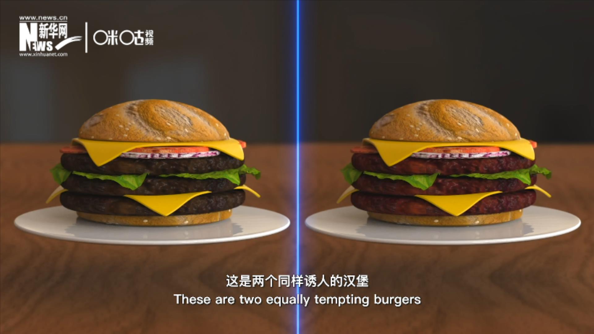 人造肉漢堡能在生產(chǎn)過程中節(jié)約水、土地、排放以及能量
