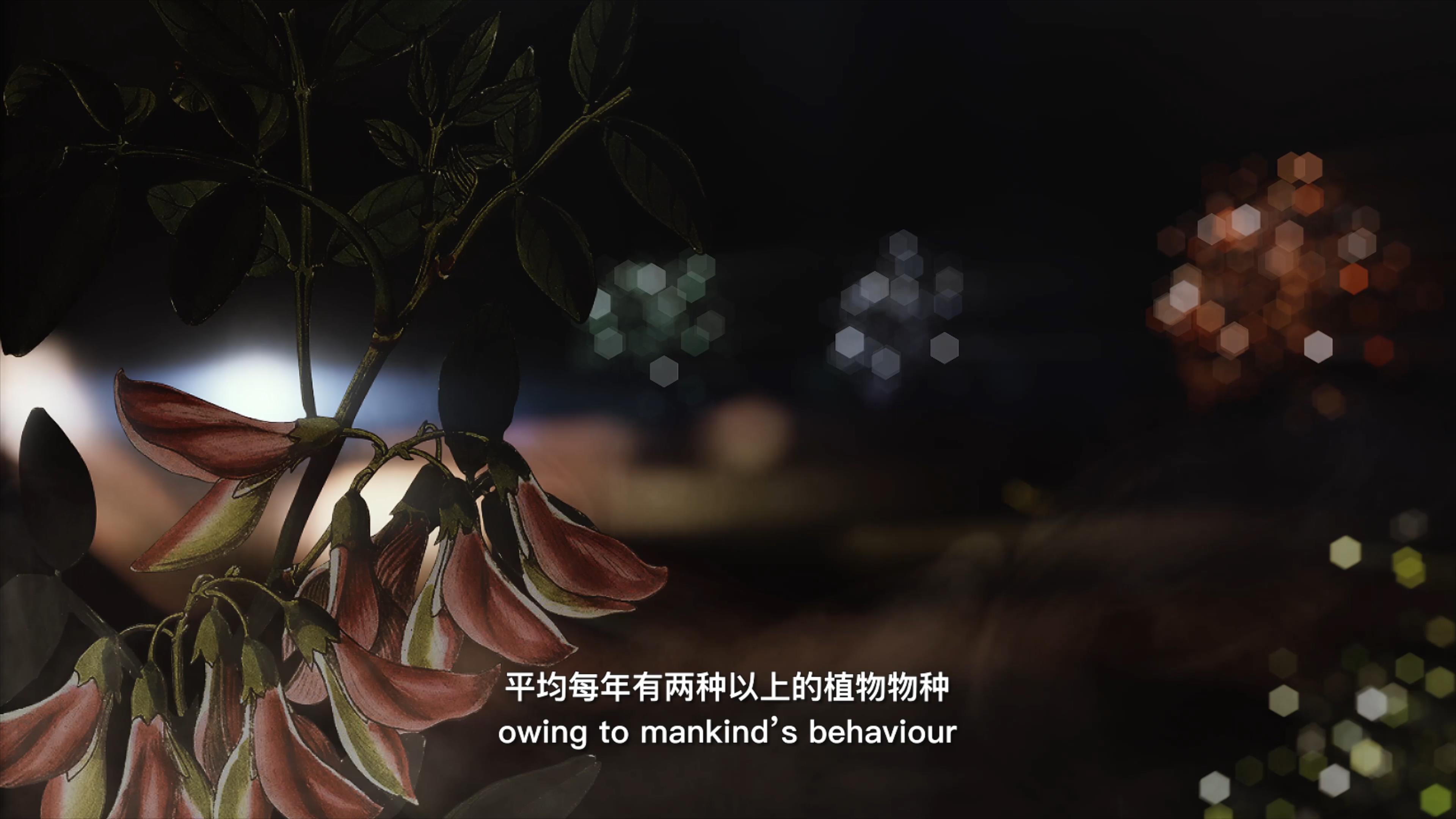 自18世紀(jì)中葉以來，許多植物物種因為人類的原因而從地球上消失