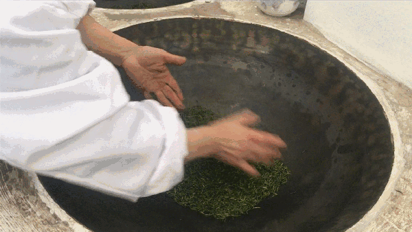 申遺，把雨花茶手藝傳承下去