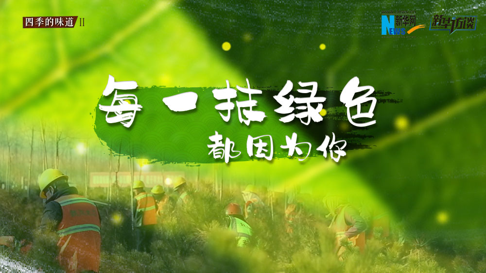 千年秀林，每一抹綠色都因為你