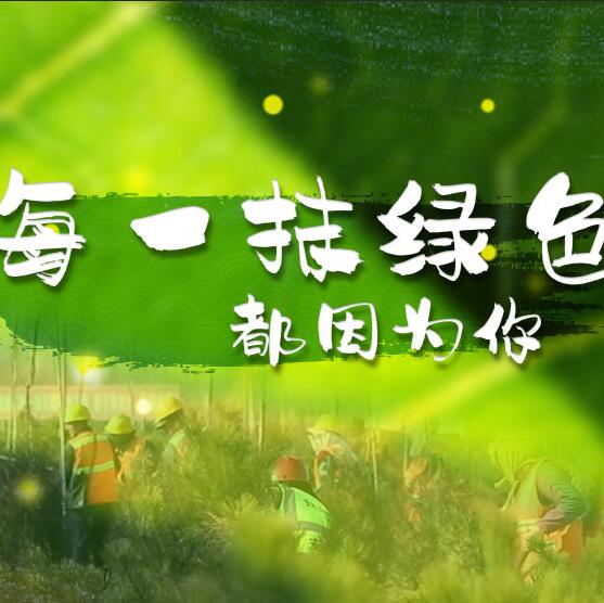 千年秀林，每一抹綠色都因?yàn)槟? /></a>       
<div   id=