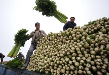 劉永富：發(fā)展產(chǎn)業(yè)脫貧仍是精準(zhǔn)扶貧、精準(zhǔn)脫貧主攻方向
