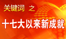 胡錦濤指出，十七大以來(lái)的五年各方面工作取得新的重大成就