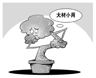 自認(rèn)“大材小用”，不如腳踏實(shí)地