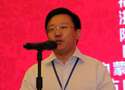 國(guó)際旅游投資協(xié)會(huì)副會(huì)長(zhǎng)、巔峰智業(yè)首席顧問(wèn)劉鋒