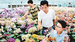 臺(tái)商眼中的改革開(kāi)放：風(fēng)景這邊獨(dú)好 要去，要去，要去！
