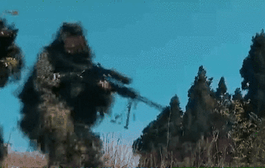 突入，擊斃！直擊武警特戰(zhàn)反劫持演練！