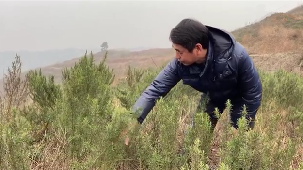 新春走基層｜脫貧后，駐村扶貧隊長在干啥？