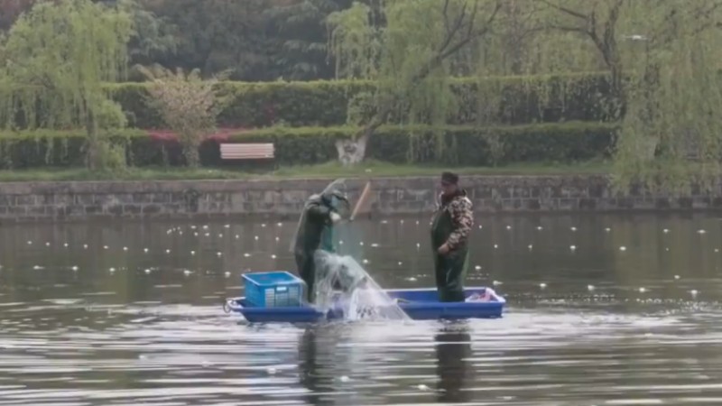 別人家的學(xué)校！安師大請(qǐng)師生吃一萬斤魚