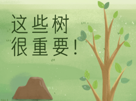 這些樹很重要！