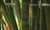 “五一”去哪？：快樂出行 文明旅游