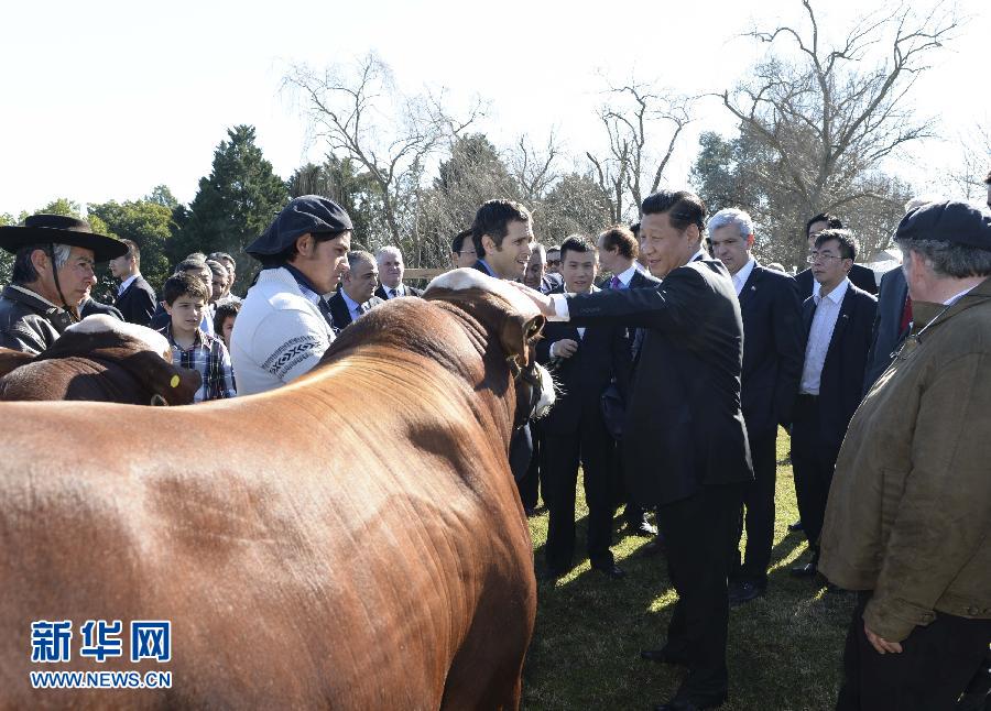 當?shù)貢r間7月19日，正在對阿根廷進行國事訪問的國家主席習(xí)近平參觀共和國莊園，考察阿根廷農(nóng)牧業(yè)，了解阿根廷農(nóng)牧民文化特色。新華社記者馬占成攝 