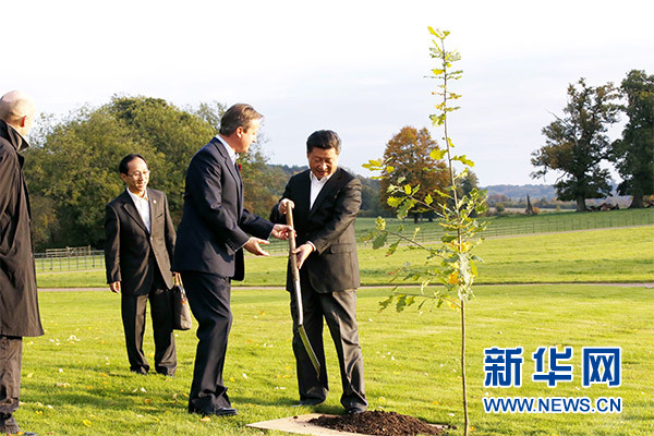 兩國領導人一同在別墅草坪，共同種下象征中英友誼的橡樹。新華社記者 鞠鵬 攝
