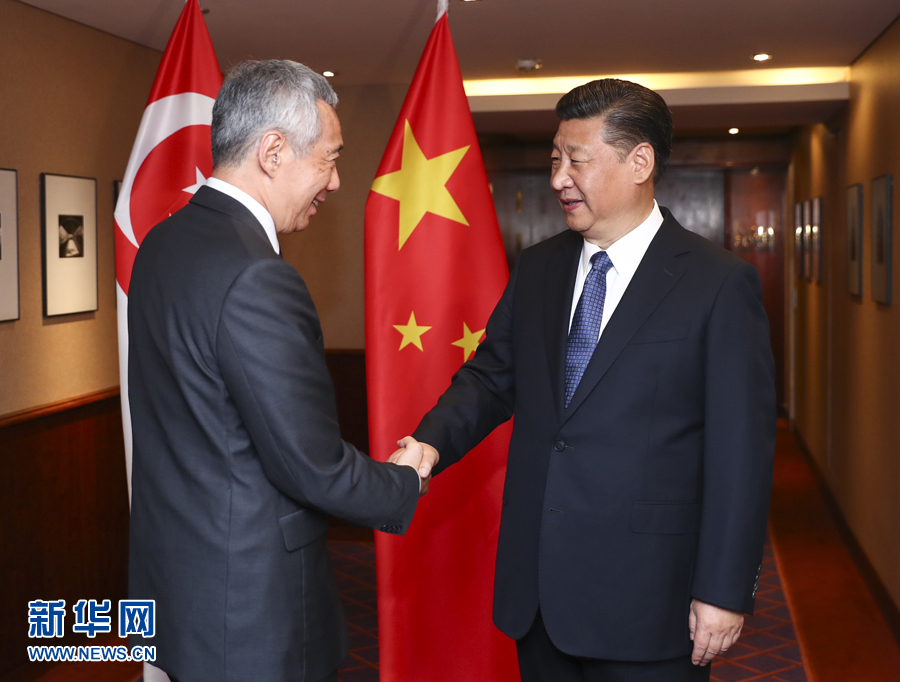 7月6日，國家主席習(xí)近平在漢堡會(huì)見新加坡總理李顯龍。 新華社記者謝環(huán)馳 攝