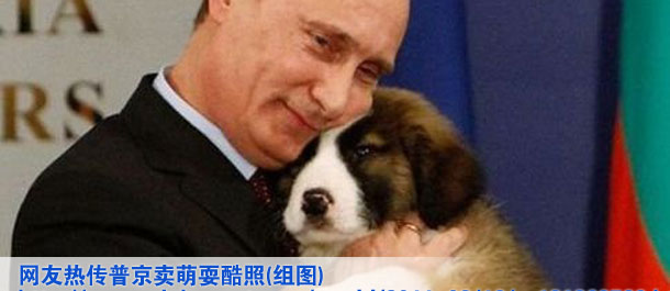 網(wǎng)友熱傳普京賣萌?？嵴?組圖)